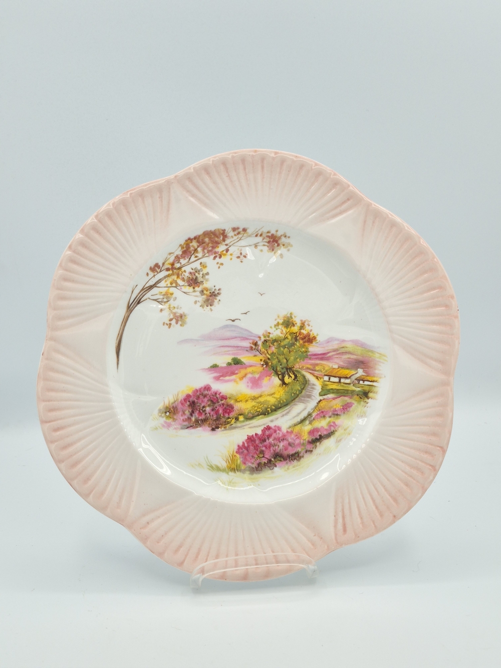 Shelley Hand-Painted Old Ireland Pink Dainty Dinner Plate